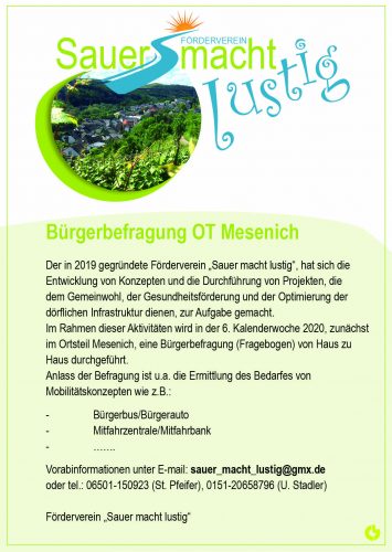 Read more about the article Bürgerbefragung Mobilität